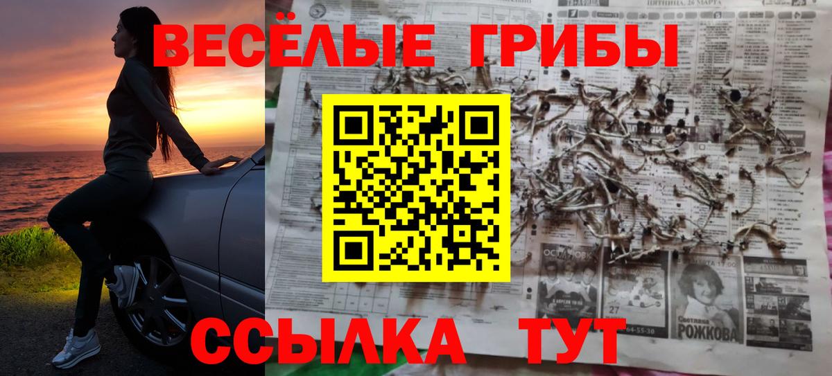 Галлюциногенные грибы Psilocybe  Вход с VPN  купить наркоту  Клинцы  Галлюциногенные грибы MAGIC MUSHROOMS 