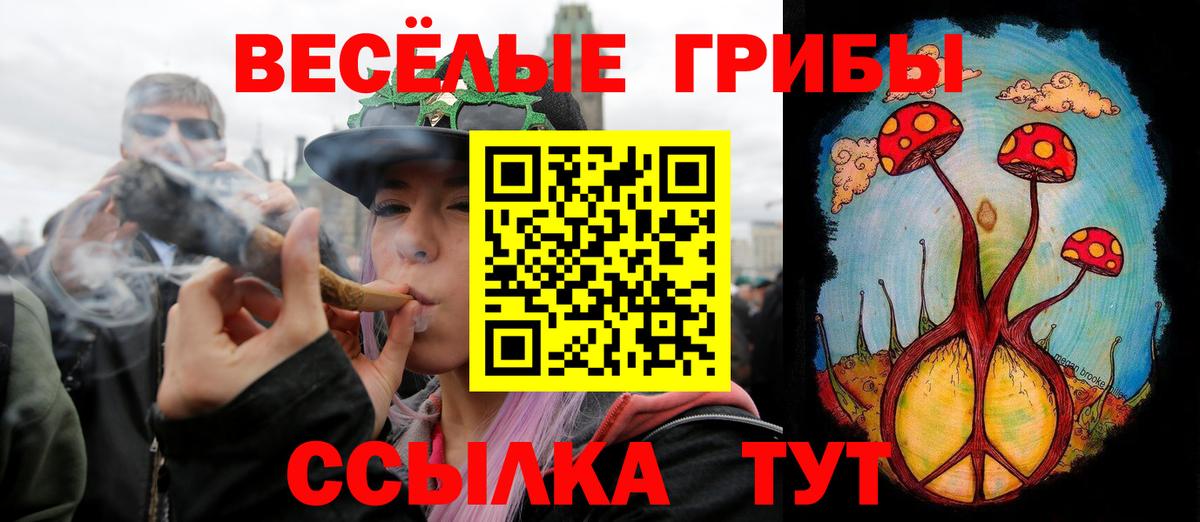 Галлюциногенные грибы ЛСД Клинцы
